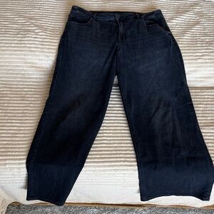 American Eagle low rise baggy wide leg